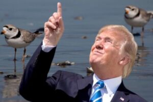 Habitat Protections Weakened: Trump Administration’s Endangered Species Rollback Ignites Fierce Battle Over America’s Wildlife Future