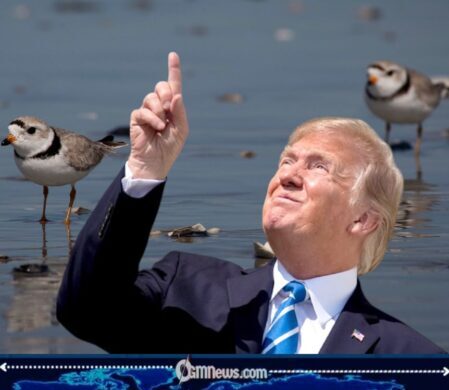 Habitat Protections Weakened: Trump Administration’s Endangered Species Rollback Ignites Fierce Battle Over America’s Wildlife Future
