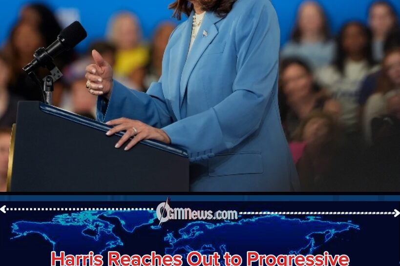 KAMALA HARRIS 2028 BID: Progressive Courtship of NYC Mayor Zohran Mamdani Sparks Political Shockwaves