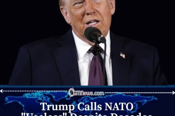 Trump Says America Has Spent Too Much on NATO With Little Return