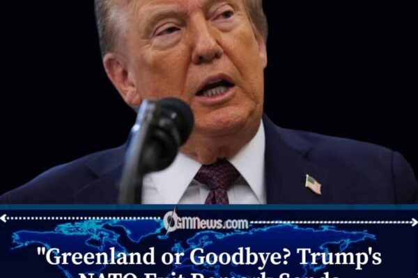 Trump Says Greenland Dispute Pushed Him Toward NATO Exit