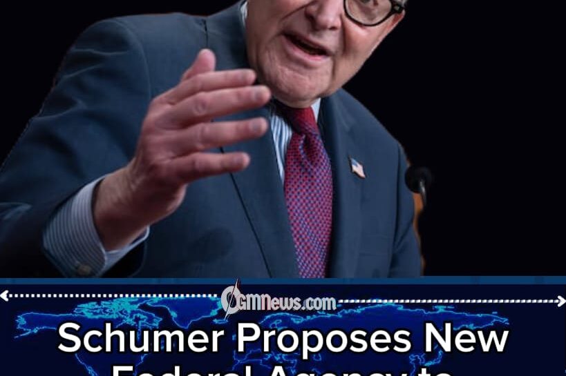 Schumer Proposes Corruption Agency, Washington Immediately Applies for Witness Protection