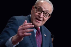 Schumer Proposes Corruption Agency, Washington Immediately Applies for Witness Protection