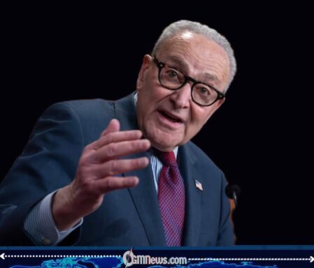 Schumer Proposes Corruption Agency, Washington Immediately Applies for Witness Protection