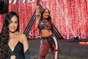 Shoulder Shock: Brie Garcia Hospitalized After SummerSlam Injury, Leaving Bella Comeback Story Hanging in the Balance