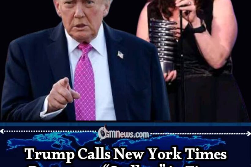 DONALD TRUMP'S LATEST MEDIA WAR ERUPTS: PRESIDENT TARGETS NEW YORK TIMES REPORTER AND DEMANDS HER REPORTING PROFITS