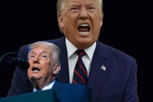 Donald Trump Prepares For War With Congress As Democrats Plot Investigations