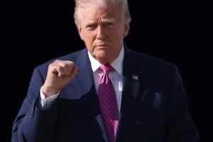 Trump Questions Decision to End Reflecting Pool Investigation