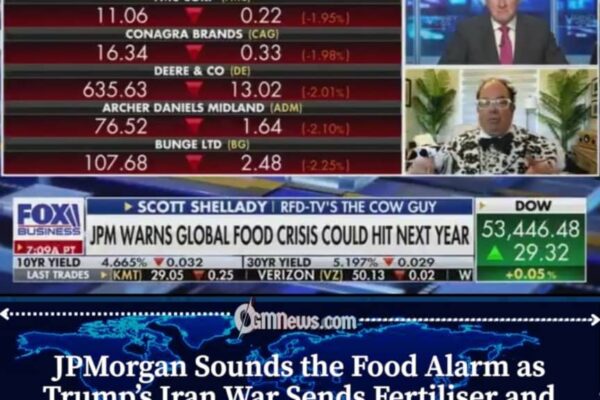 JPMorgan Warns Iran Conflict Could Push Global Food Prices Higher