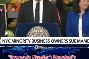 Mamdani’s Government Grocery Plan Branded An “Economic Disaster” By Critics
