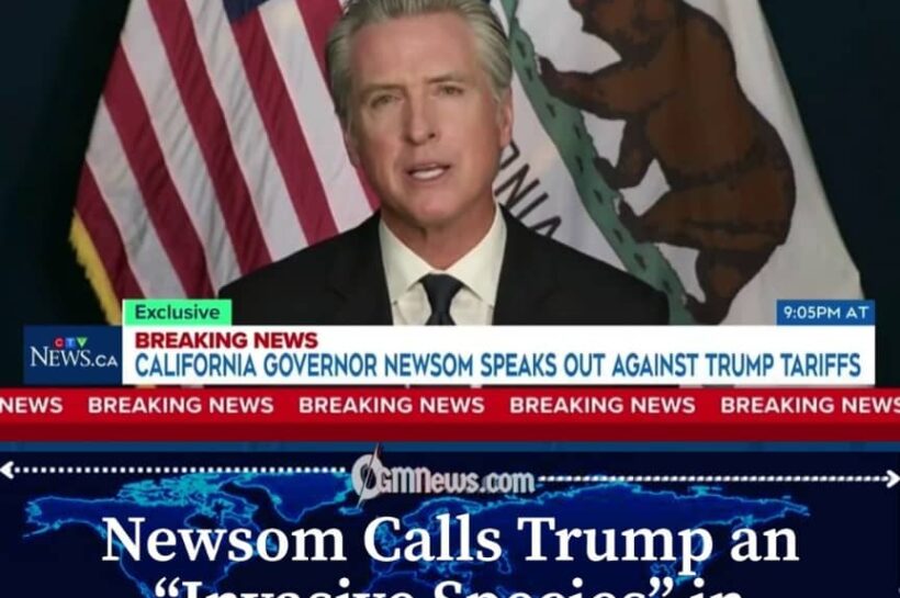 Newsom Says Trump Has Left Damage America May Not Easily Repair