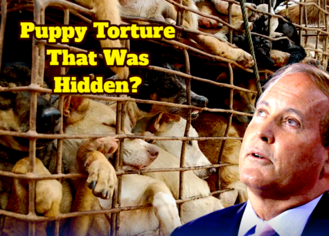 Paxton Puppy Gate Scandal — Animal-Research Claim That Has Everyone Yelling "Fetch the Receipts!"