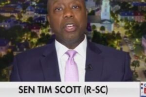 Sen. Tim Scott Declares Democratic Socialists Have Hijacked Their Party