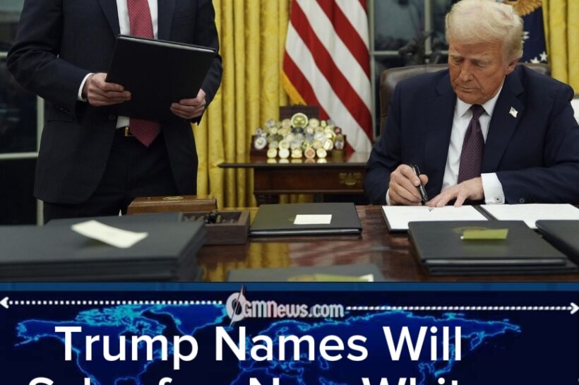 Trump Moves Will Scharf From White House Paperwork to Legal Warfare as Counsel Shake-Up Raises Eyebrows