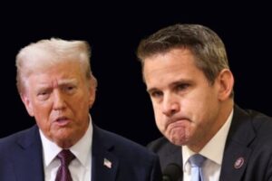 Adam Kinzinger Criticises Trump’s Focus on White House Construction Projects