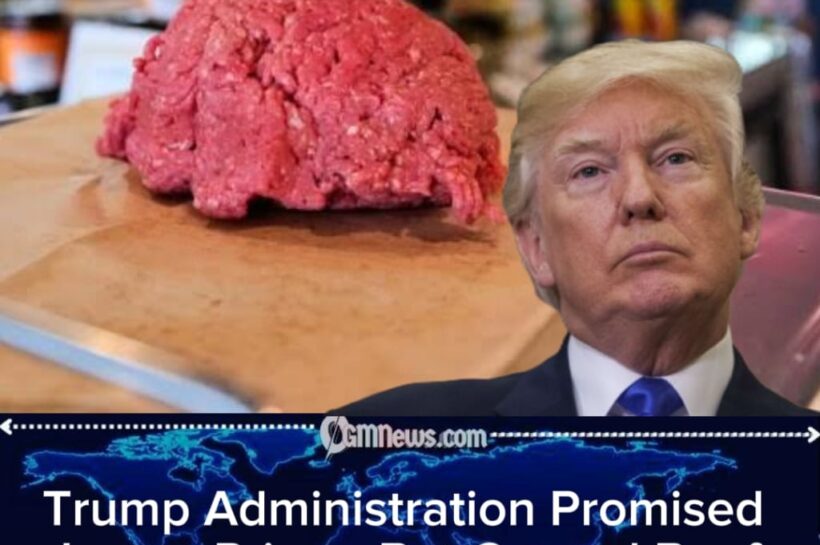 Trump Administration Watches Ground Beef Climb Toward $7 as America's Burger Dreams Meet a Beefy Reality