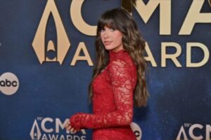 ELLA LANGLEY VIRAL REJECTION: COUNTRY STAR’S FENCE RESPONSE CREATES INTERNET ROMANCE BATTLE