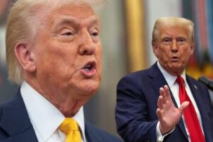 Trump’s New NIH Power Play: When the Grant Committee May Need an Oval Office Address