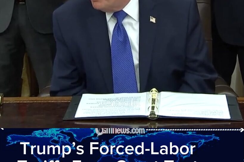Trump’s Tariff Toolbox Returns to Court as Forced-Labor Duties Face a New Legal Test