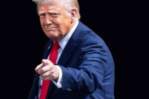 White House Calls Anti-Cartel Campaign a Powerful Deterrent
