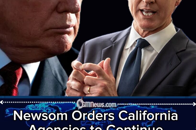 California Declares AI Is Still AI as Newsom Takes Aim at Trump’s Renaming Drive Artificial Intelligence.