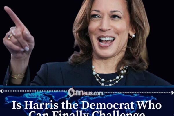 Democrats Await Harris's Decision on 2028 Presidential Race