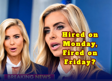 Hired on Monday — Fired by Friday